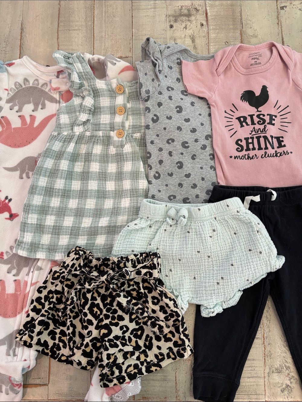 Carter’s 7 Piece 6-9 Month Baby Girl Bundle